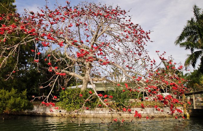 LidoKey-OtterKey-Anchor3