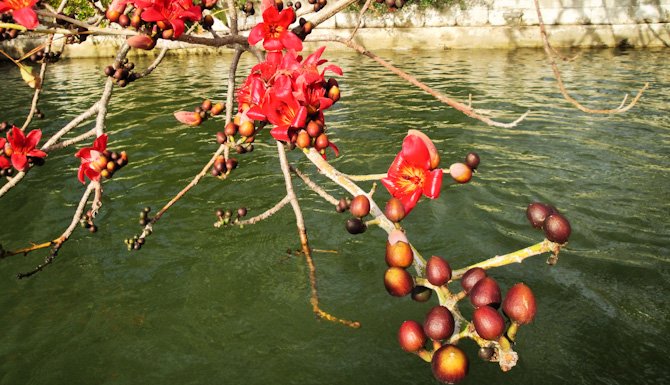 LidoKey-OtterKey-Anchor33