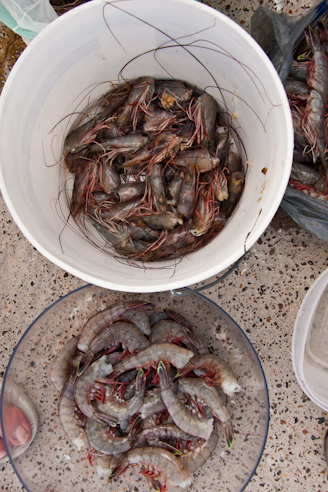Shrimp Boil