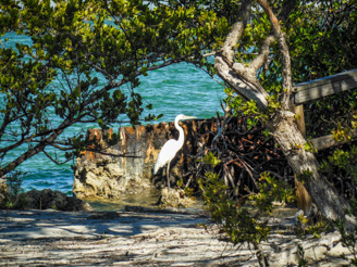 Boca Chita Key, Florida – Safe Harbor Before Start of the Keys