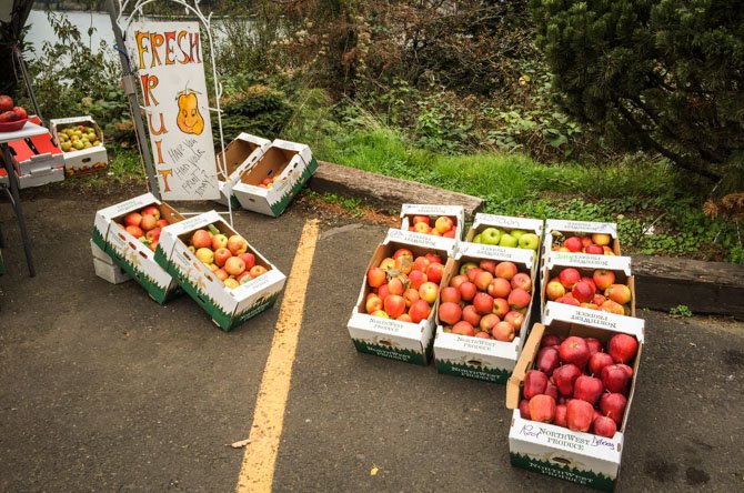 Port of Cascades Locks-50