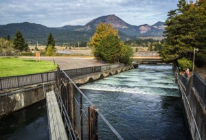 Port of Cascade Locks on the Columbia River