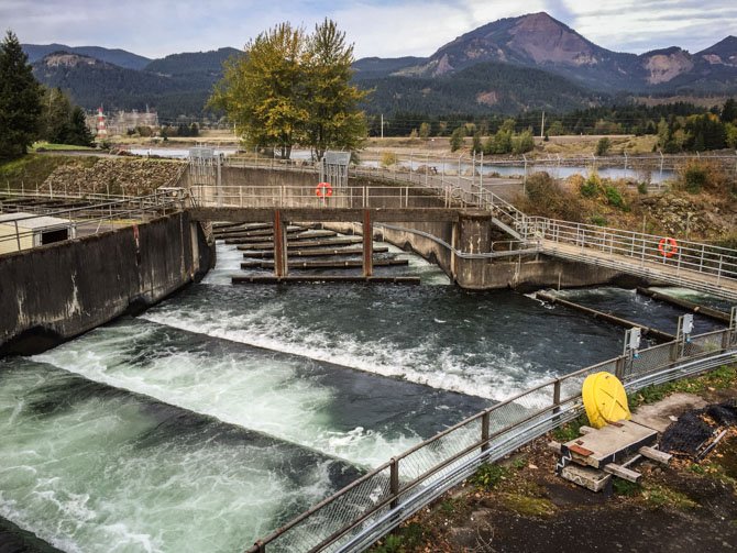 Port of Cascades Locks-67