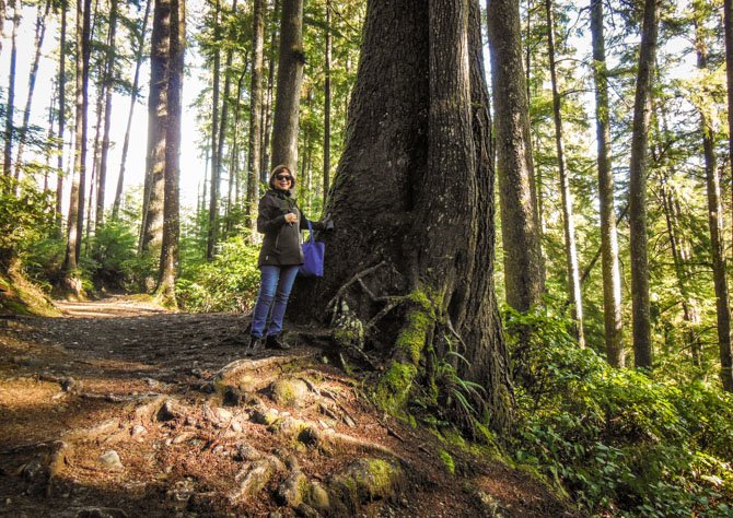 Southern Vancouver Island Loop