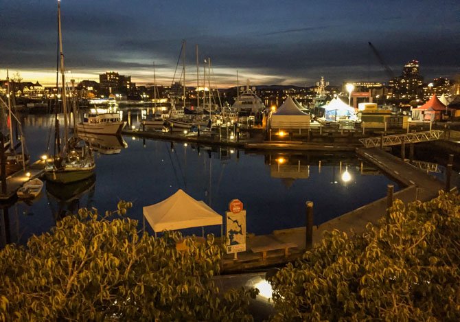 Downtown Victoria at Night-8