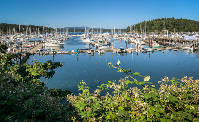 Port of Friday Harbor - the Heart of the San Juan Islands