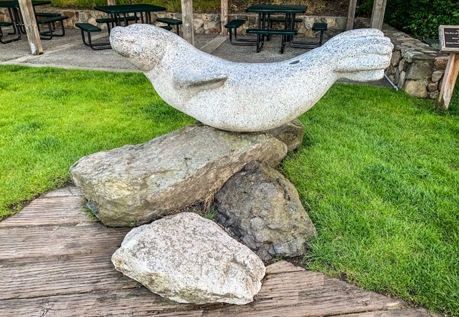 Friday Harbor Popeye the Seal