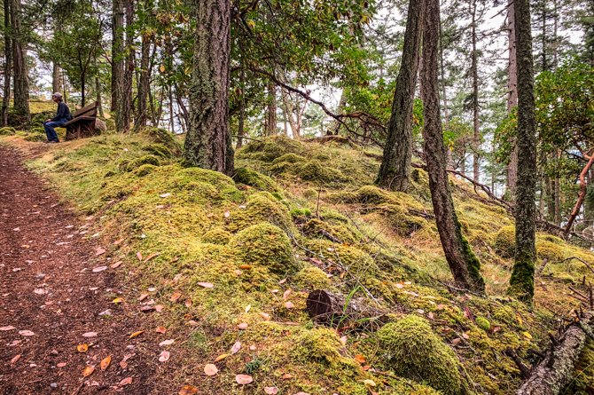 Turn Point Light Station