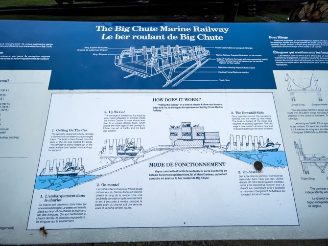 Grandkids Cruise-Big Chute