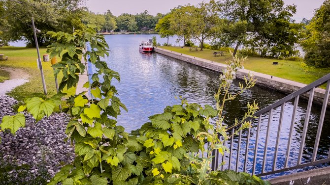 Grandkids Cruise-Buckhorn