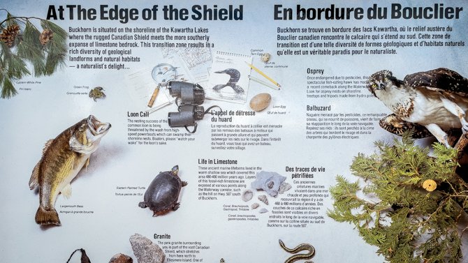 Grandkids Cruise-Buckhorn