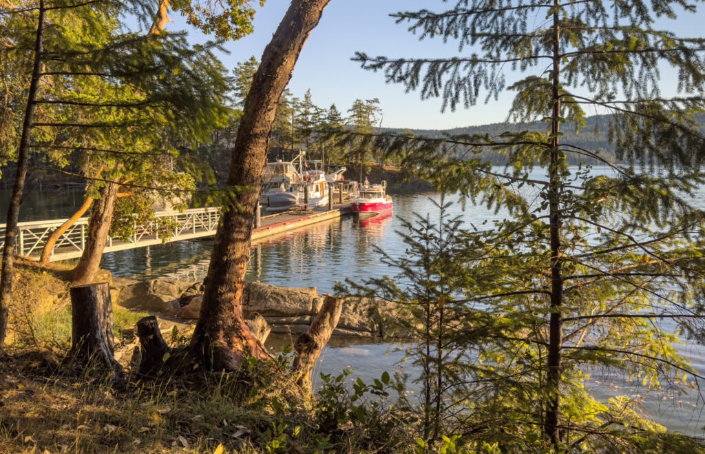 Wallace Island