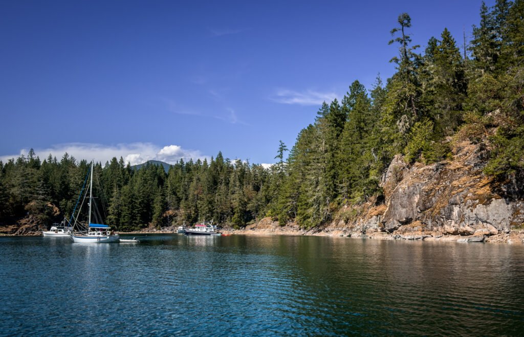Squirrel Cove