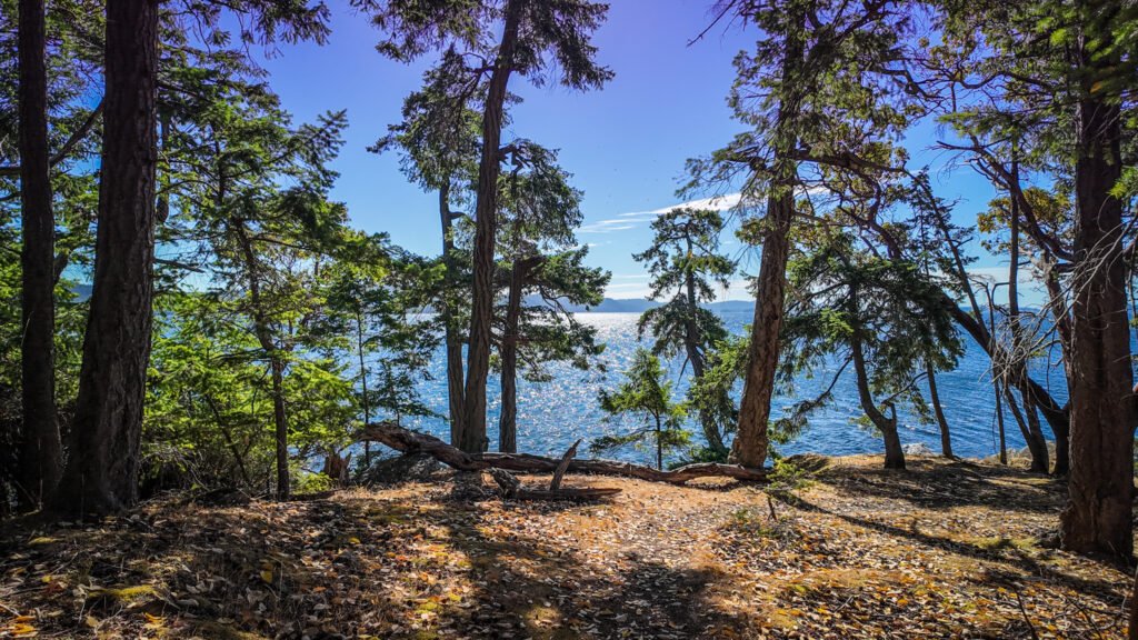 Wallace Island