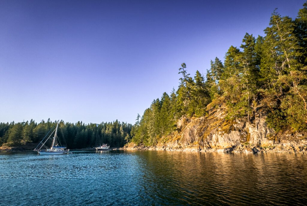 Squirrel Cove