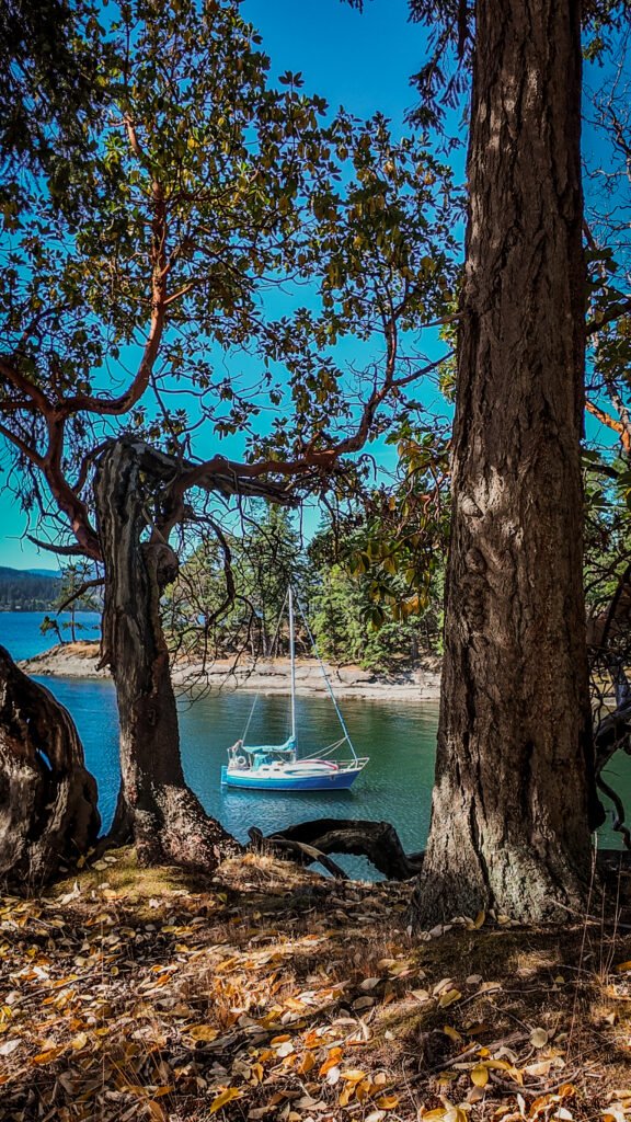 Wallace Island