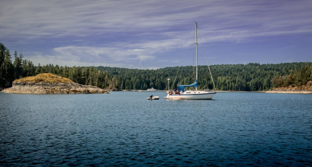 Squirrel Cove