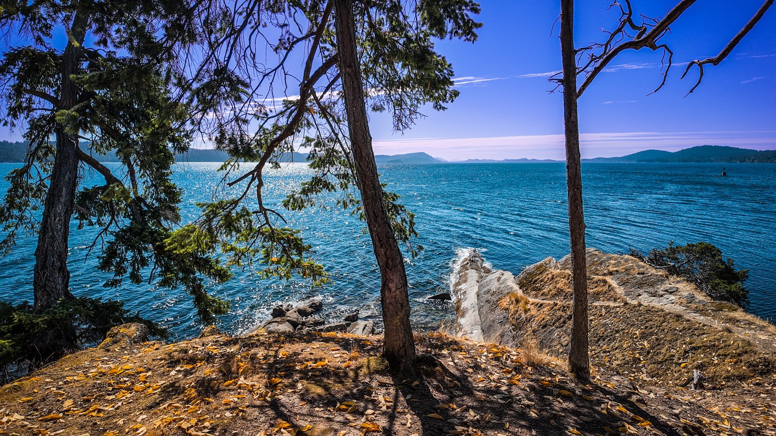 Wallace Island