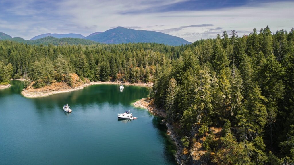 Squirrel Cove