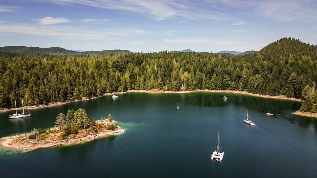 Squirrel Cove