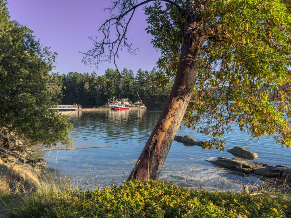 Wallace Island
