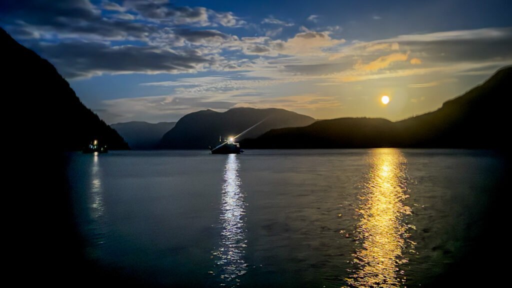 Francis Bay