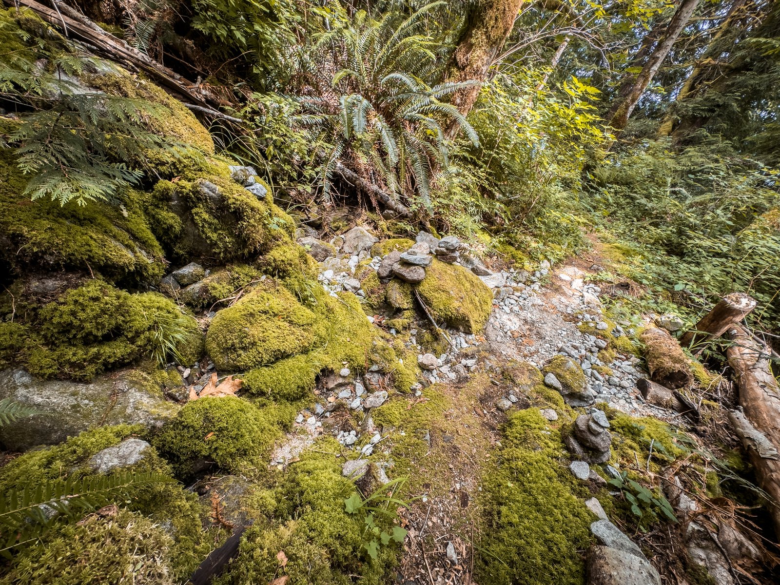 Toba Wildernest