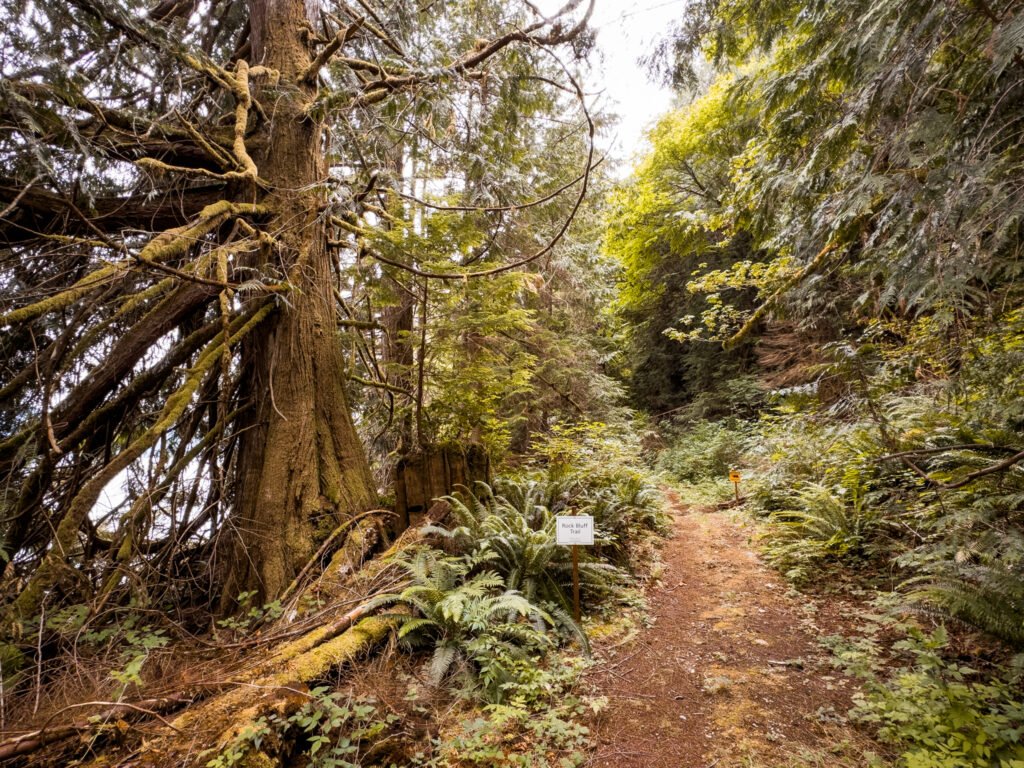 Toba Wildernest