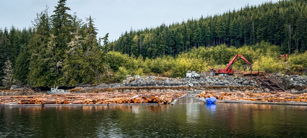 Potts Lagoon
