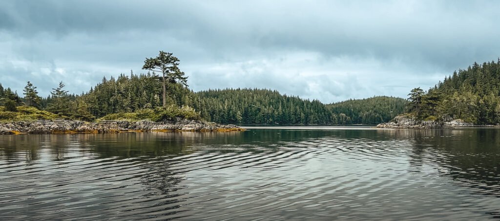 Goat Island