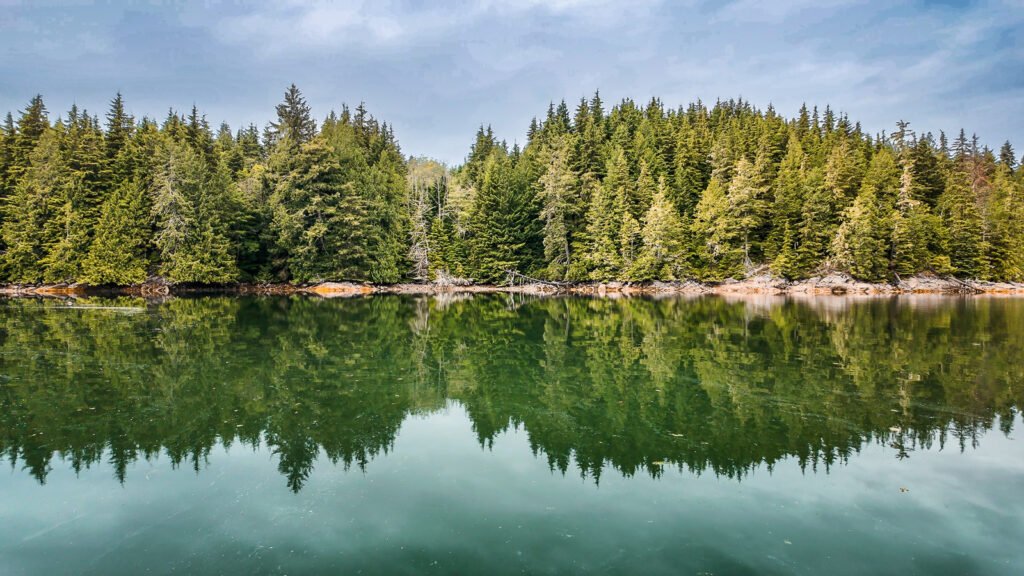Potts Lagoon