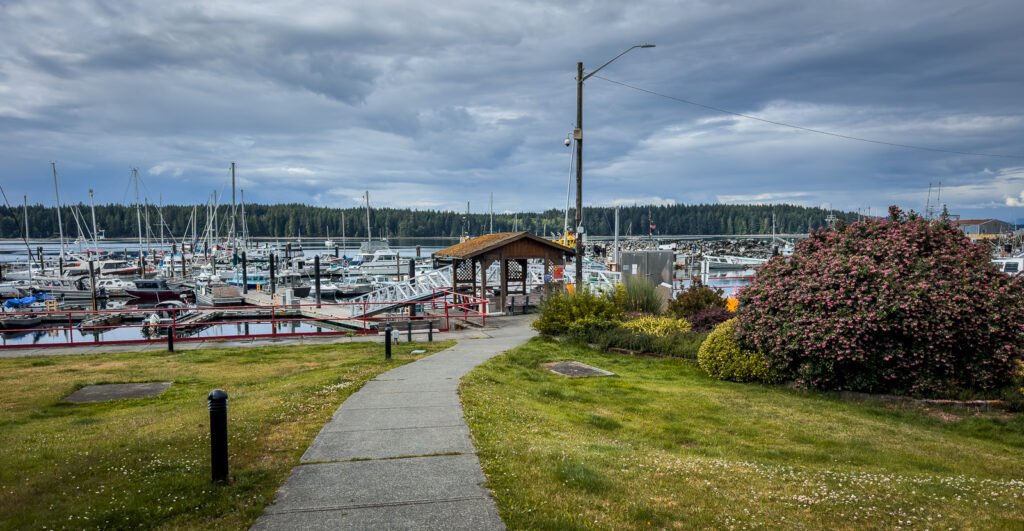 Port McNeil