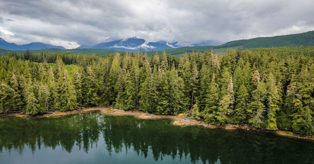Potts Lagoon