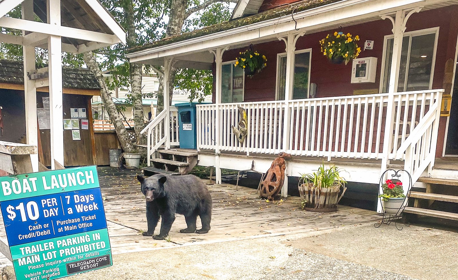 Telegraph Cove