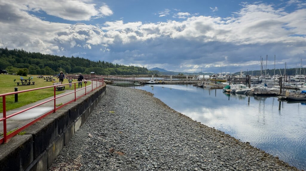 Port McNeil