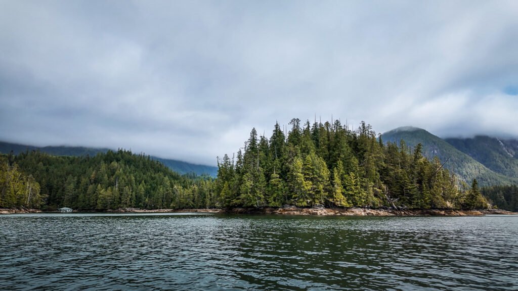 McIntosh Bay