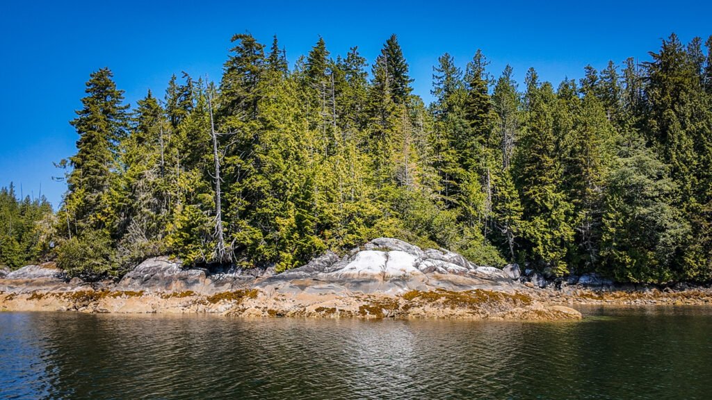 McIntosh Bay