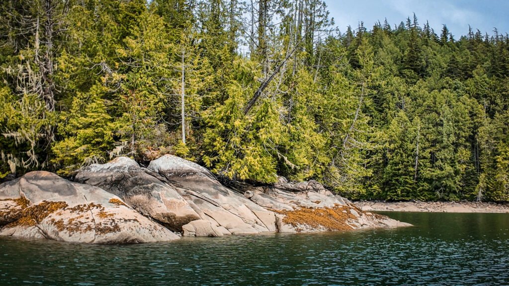 McIntosh Bay