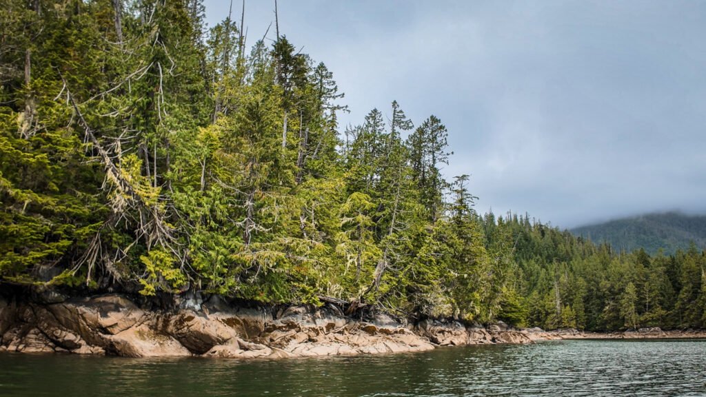 McIntosh Bay