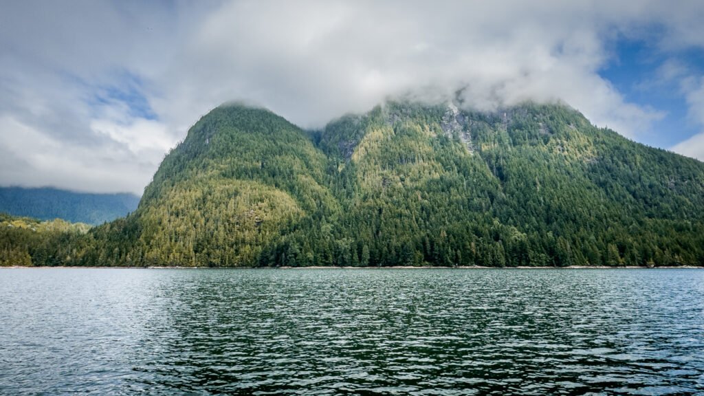 McIntosh Bay