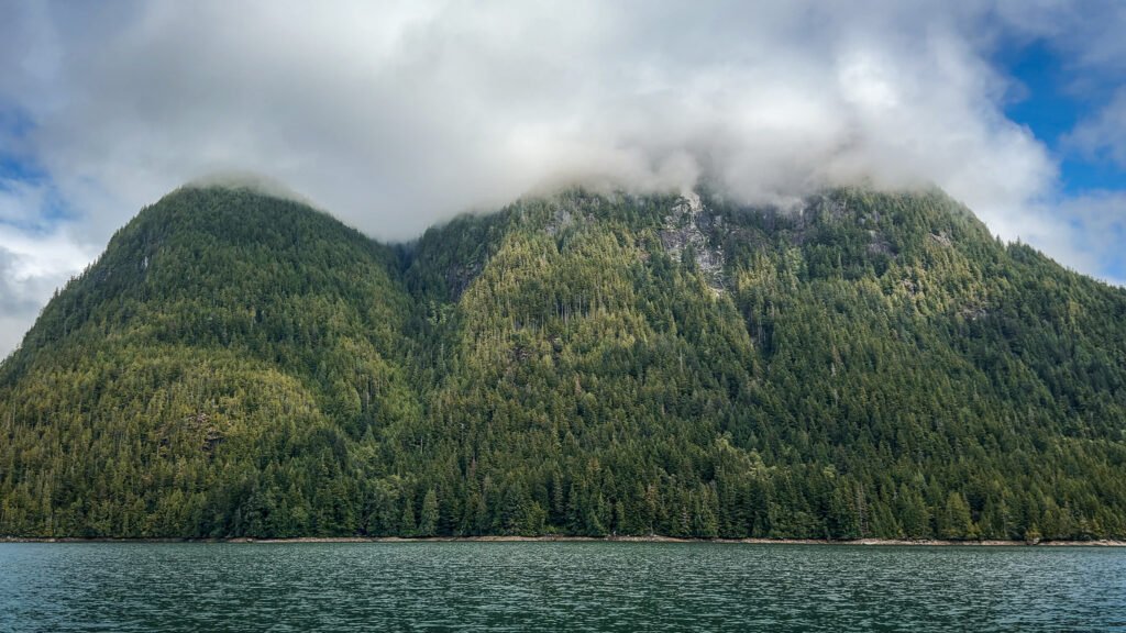 McIntosh Bay