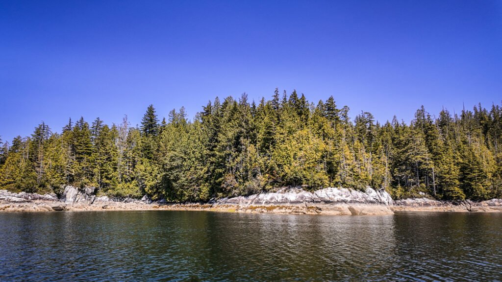 McIntosh Bay