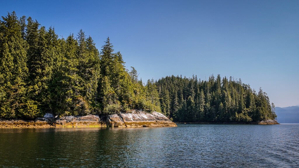 McIntosh Bay
