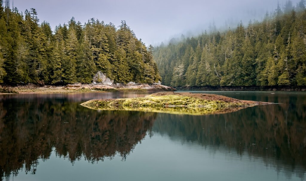 Monday Cove