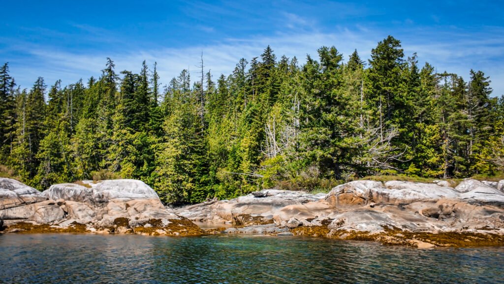 Burdwod Group